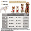 Arnés para Perro Ajustable Antitirones